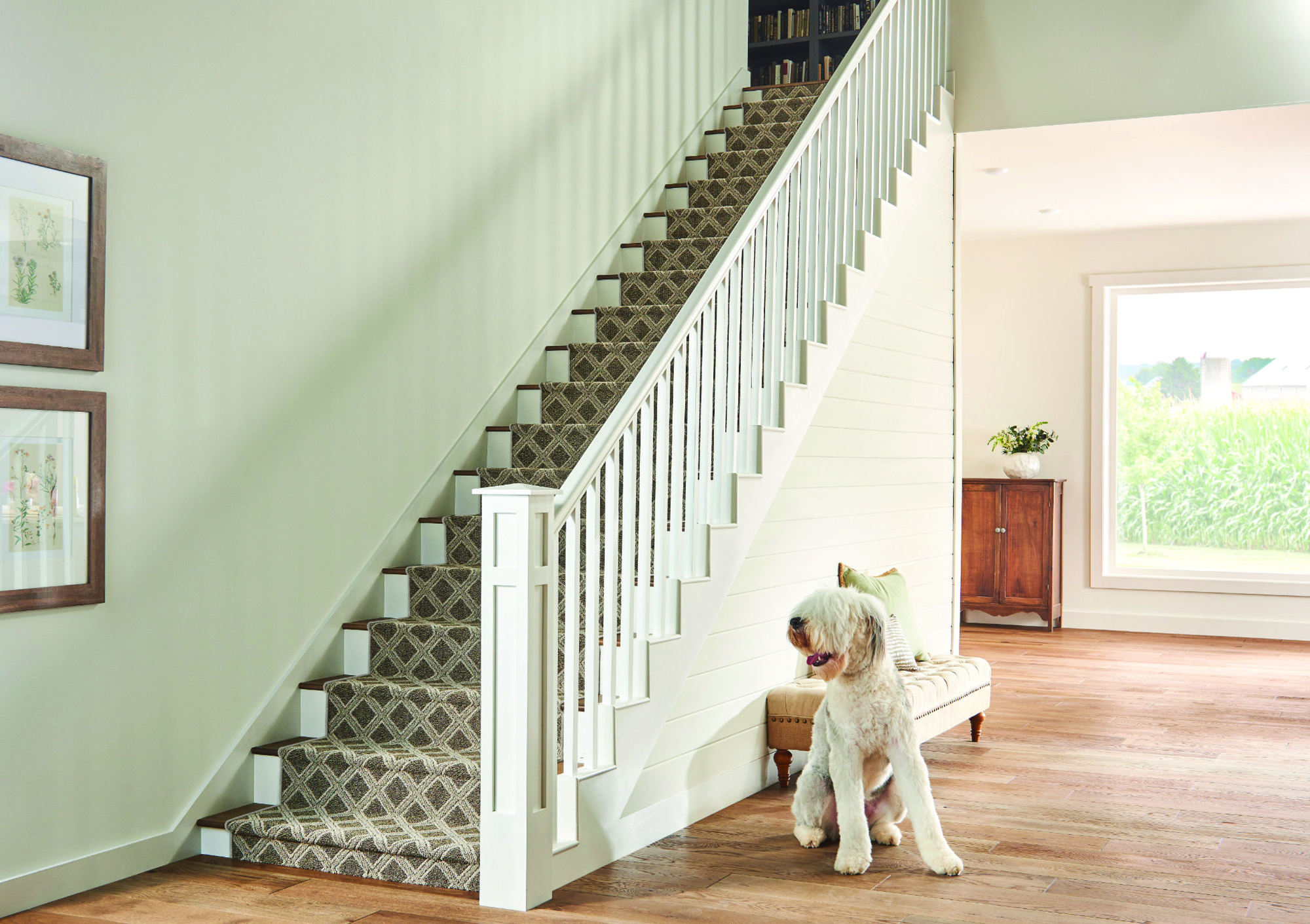 Carpet Paradise Flooring